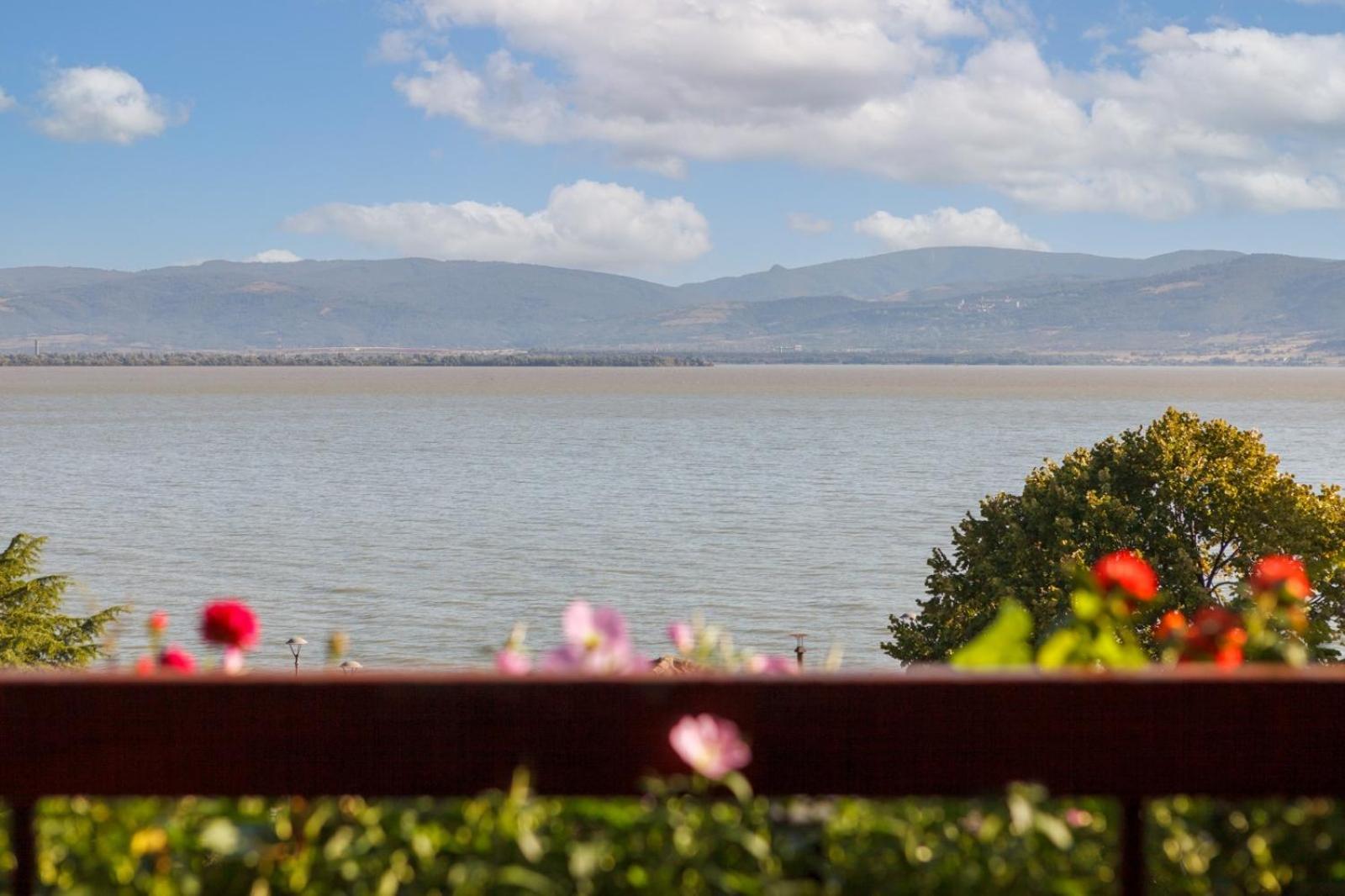 Apartment Amore Mio Golubac Esterno foto
